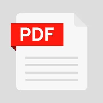 External Audit Report
